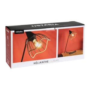 Decoratie Lampe Métal Noir Abat-jour Filaire Corde 12