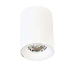 QAZQA Spot Plafond En Acier Blanc 18